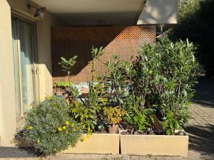 Giardino di Studio tout confort au calme avec jardin proche Cannes