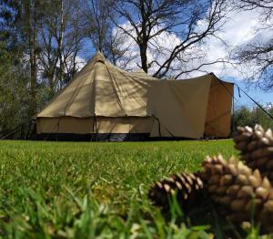 Zahrada ubytování Tent-Ok Roggel + 9 fotografií