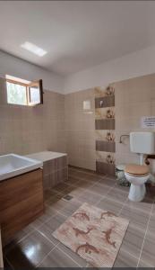 ein Badezimmer mit Badewanne, Toilette und Waschbecken in der Unterkunft CASA ROTARU in 2 Mai