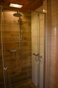 a shower with a glass door in a bathroom at Chata s výhledem do údolí Frymburk, Náhlov in Frymburk +30 photos