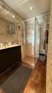 un bagno con doccia in vetro e lavandino di Studio tout confort au calme avec jardin proche Cannes a Le Cannet