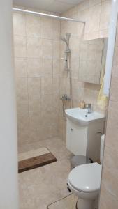 a bathroom with a shower and a toilet and a sink at Апартамент Калоян in Banya +8 photos