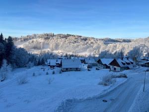 Luční apartmány Dobromysl a Laskavec durante l'inverno