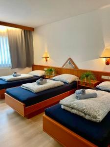 a room with three beds with plants on them at Schwanstetten bei Nürnberg, gemütliches Apartment mit Küche Bad TV in Schwanstetten