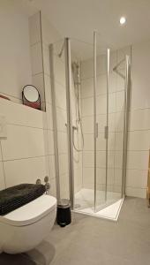 ein Badezimmer mit Dusche und Toilette in der Unterkunft Haus Ribeiro in Schluchsee