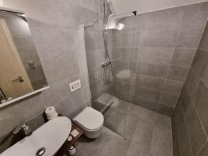 a bathroom with a shower and a toilet and a sink at Kampus Hotel Poruba in Ostrava +46 photos