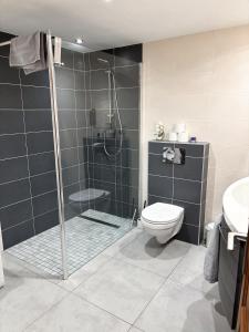 een badkamer met een douche, toilet en wastafel bij Lescapade à Colmar in Colmar