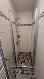 a shower with a glass door in a bathroom at Ferienwohnung Haus Waldesrand in Norderney