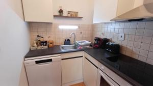 Kuchyň nebo kuchyňský kout v ubytování Nelli apartman free parking