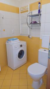 Koupelna v ubytování Nelli apartman free parking
