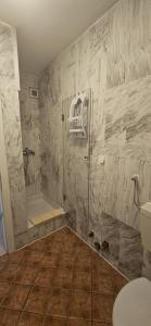 a bathroom with a shower and a toilet at Villa Merci Budva in Budva +126 photos