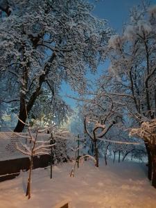 un cuadro de árboles cubiertos de nieve en Ferienhaus Für 4 Personen Ca 65 M Sup2 In Brod Moravice, Gespanschaft Primorje Gorski Gorski Kotar, en Brod Moravice
