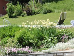 A garden outside Haus Traunsee Blick