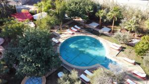 Πισίνα στο ή κοντά στο Dar Fatna Marrakech