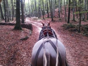 Fotografia z galérie ubytovania La Casa dels Poetes v destinácii Santa Pau