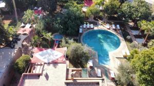 Πισίνα στο ή κοντά στο Dar Fatna Marrakech +10 φωτογραφίες