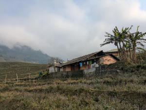 a house on a hill in a field at Homestay & Trekking Sapa Tom Tom in Sa Pả
