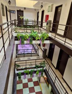 arium of a building with a bunch of plants at Hotel Catalina in Orizaba