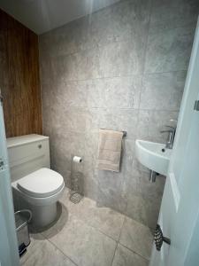 Bagno di New luxurious and spacious guest suite in Banstead