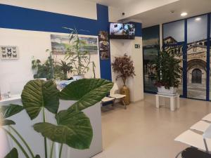 TV a/nebo společenská místnost v ubytování Hostel de las Facultades