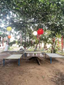 Φωτογραφία από το άλμπουμ του Bageecha B&B - K S H I T H I σε Alibag