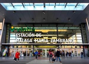 Fotografia z galérie ubytovania Málaga Vialia Deluxe v destinácii Málaga