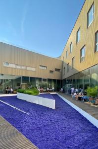 a building with a purple carpet in front of a building at Auberge de Jeunesse HI Lille in Lille