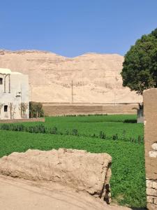 a field of green grass next to a white building at Sunset Mirage in Luxor