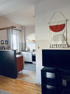 Televízia a/alebo spoločenská miestnosť v ubytovaní Dorothy apartment near Budapest City Park
