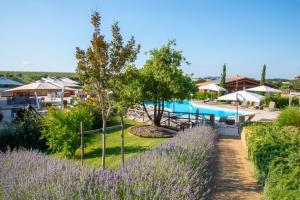 a resort with a swimming pool and purple flowers at Il Podere di Marfisa in Farnese