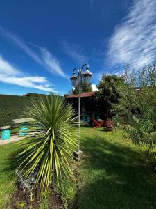 a palm tree in front of a house with a street light at Complejo LA MERLINA in Merlo +11 photos