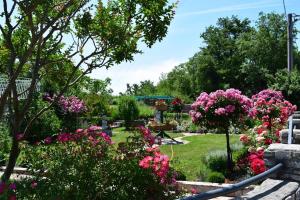 un jardín con flores rosas y árboles en Vinez, en Labin