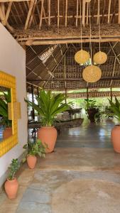 Zahrada ubytování Maasai Resort