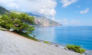 a beach with a tree on the side of a body of water at Ferienhaus Für 10 Personen In Draia, Kreta West Kreta in Dhrámia +20 photos