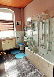米劳Fewo Blick Mylau的带淋浴、马桶和水槽的浴室 更多18张照片