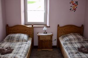 a bedroom with two beds and a window and a night stand at Ferienhaus Schäwisch in Dreis-Brück