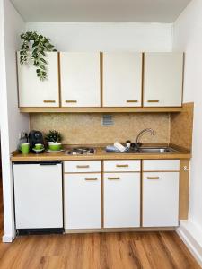 a kitchen with white cabinets and a sink at Sarah Gruber Appartements in Sankt Englmar