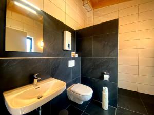 a bathroom with a sink and a toilet at Ferienwohnung Am Weiher Wohnung 6 Für 2 Personen in Nideggen