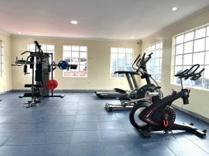 Fitness centrum a/nebo fitness zařízení v ubytování Naka Executive Suites With Balcony, Amazing View of Lake Nakuru, GYM
