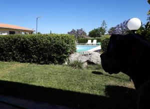 a person taking a picture of a swimming pool at Wohnung 4 Studio in Cattolica Eraclea +32 photos