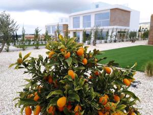 Κήπος έξω από το Luxuriöse Villa Mit 4 Schlafzimmern, Pool Und Whirlpool