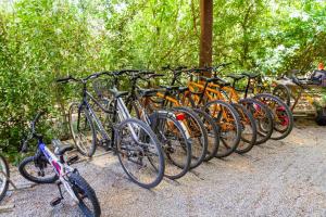 una fila di biciclette parcheggiate l'una accanto all'altra di Trilo Begonia a Marina di Grosseto