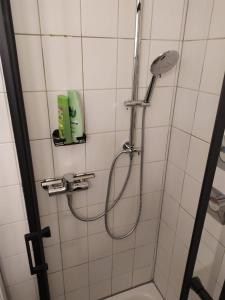 a shower with a hose in a bathroom at Apartment 17 in Kassel