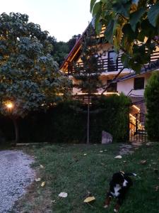 克利默内什蒂Havva的相册照片