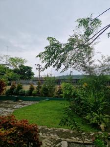 a garden with a green lawn with a train in the background at Sultan Guesthouse in Bukit Lawang