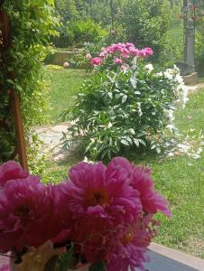 Zahrada ubytování B&B Cascina Ciapilau