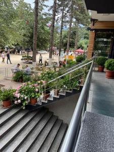 Taman di luar Hotel Brooklyn