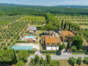 una vista aérea de una finca con un viñedo en Il Pino - appartamento Tiglio, en Cecina