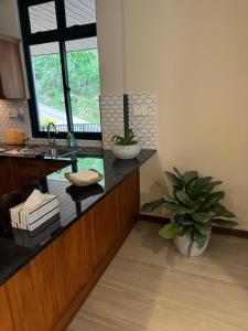 a kitchen with a sink and a potted plant at Unit One by Hideout Lounge in Kandy