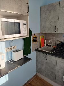 ナルヴァにあるRAKVERE 32 2 bedroom apartment on 2 floorの電子レンジとシンク付きのキッチン